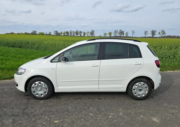 Volkswagen Golf Plus cena 26900 przebieg: 113300, rok produkcji 2012 z Chojnice małe 172
